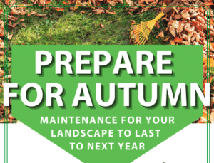 Prepare for Autumn Poster