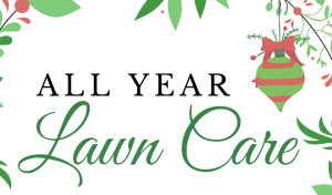All Year Lawn Care Poster