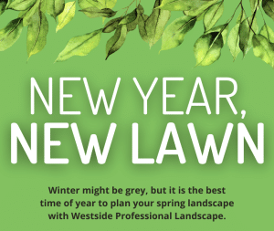 New Year, New Lawn Poster