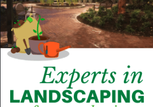 Experts in Landscaping!