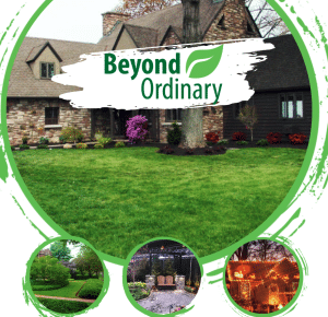 Beyond Ordinary Landscaping